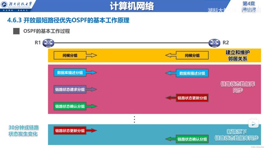 bgp ipv4数据报首部格式 网际控制报文协议icmp 虚拟专用网vpn 网络