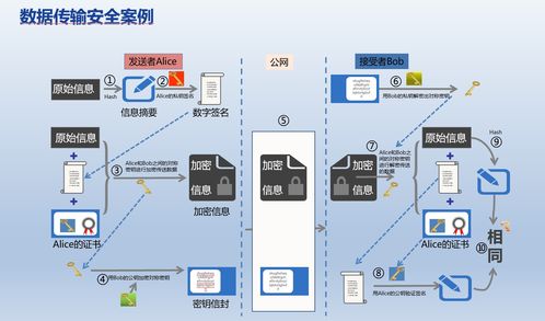 国内因特网虚拟专用网络业务 技术与应用市场全景分析
